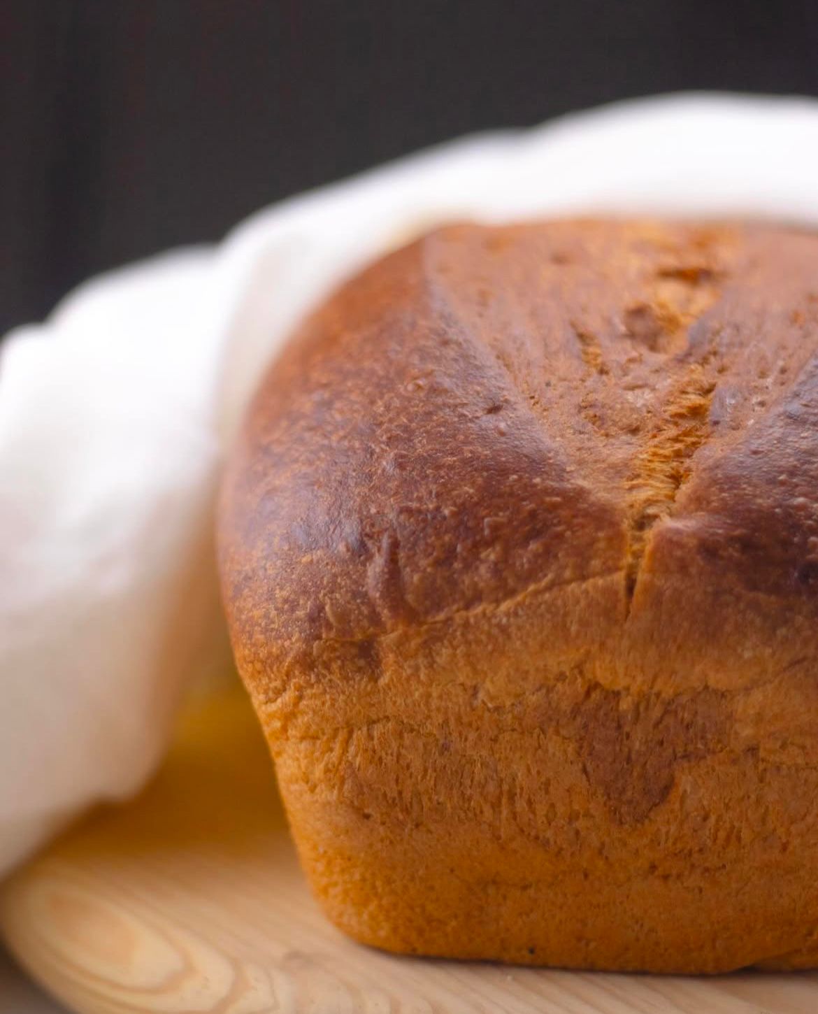 leetx-google-photo-49775-7 leetx-google-photo-49775-7