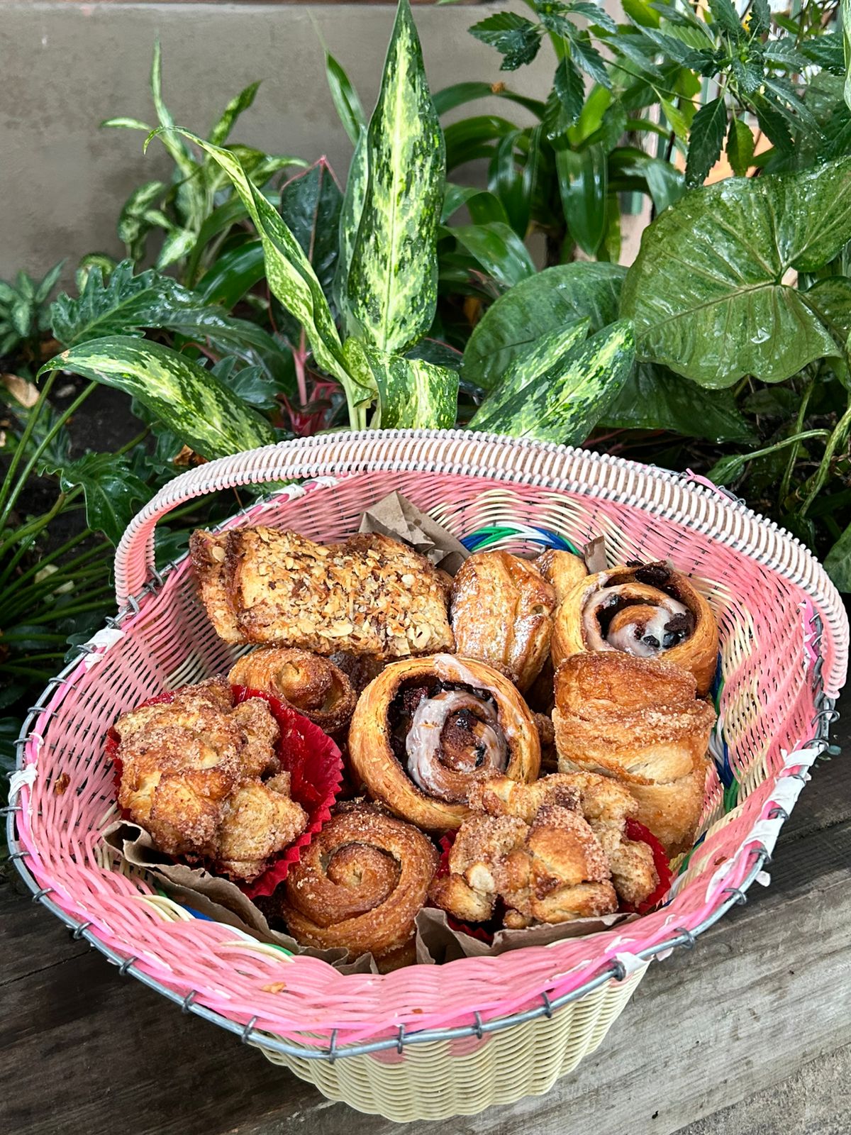 leetx-google-photo-49775-8 leetx-google-photo-49775-8