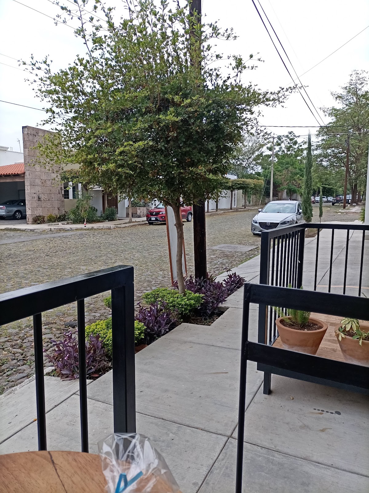 leetx-google-photo-53197-1