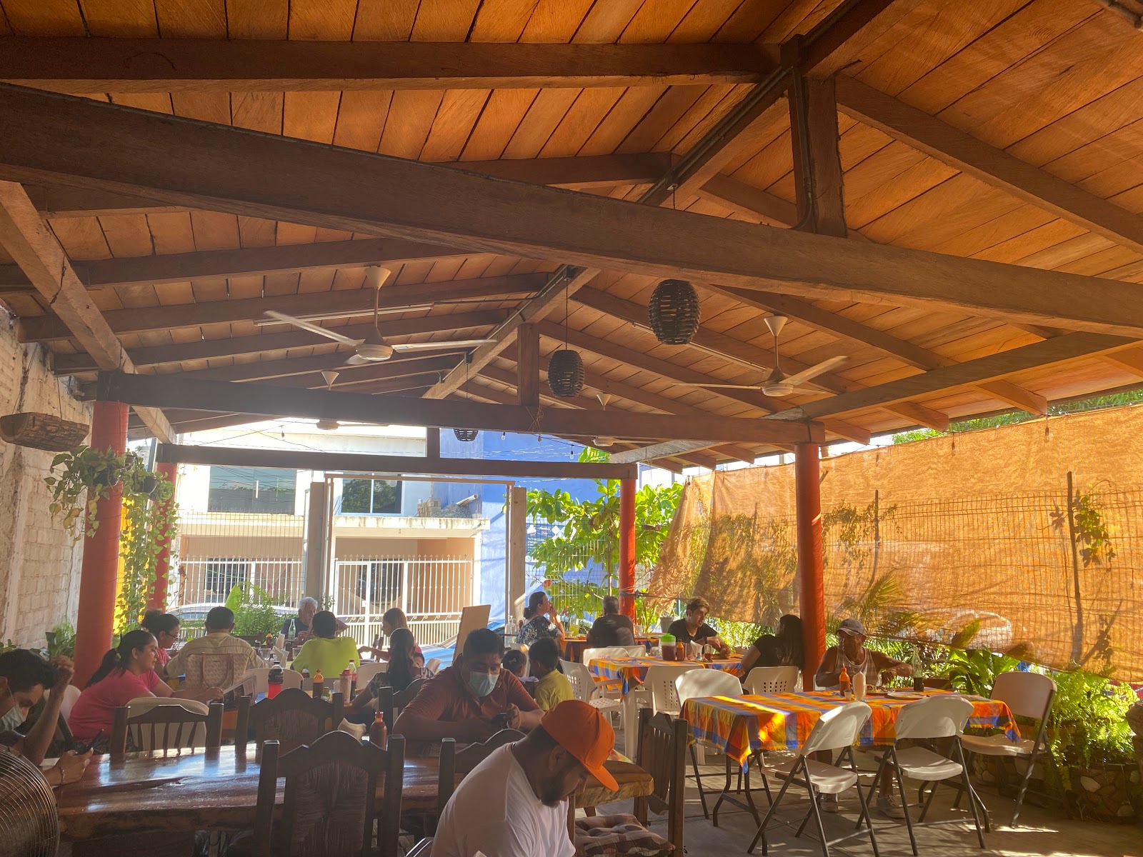 leetx-google-photo-61767-1