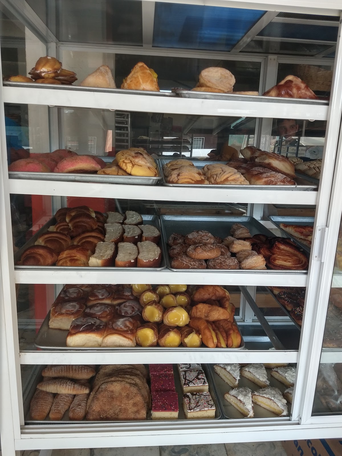 leetx-google-photo-64998-1