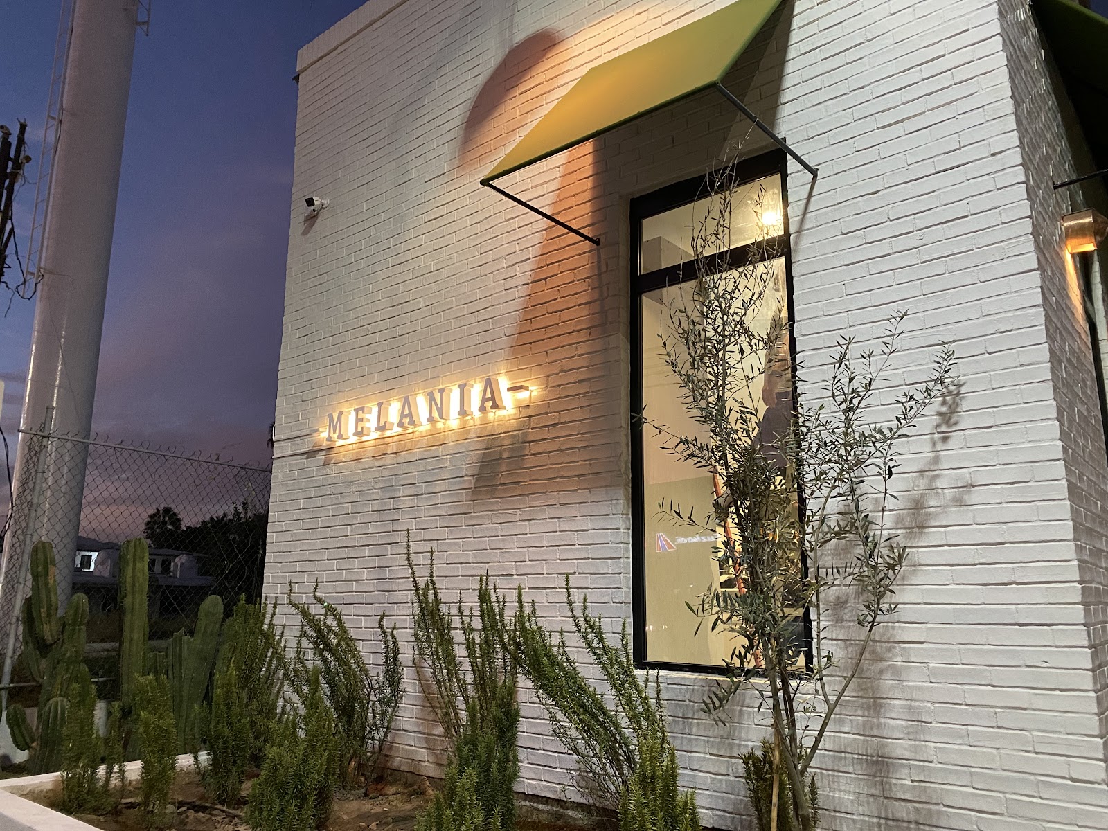 leetx-google-photo-65219-1