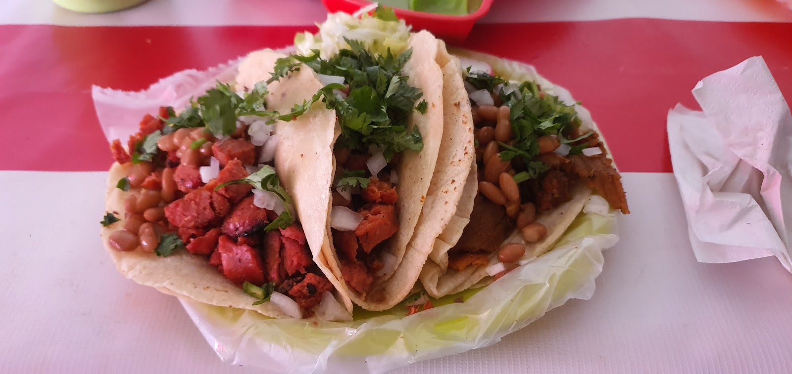 leetx-google-photo-67976-8 leetx-google-photo-67976-8