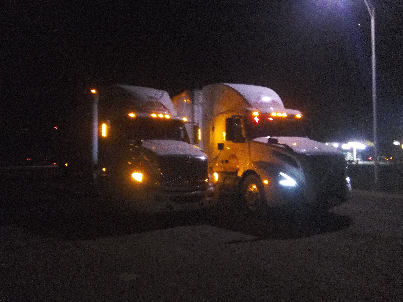 leetx-google-photo-68841-4 leetx-google-photo-68841-4