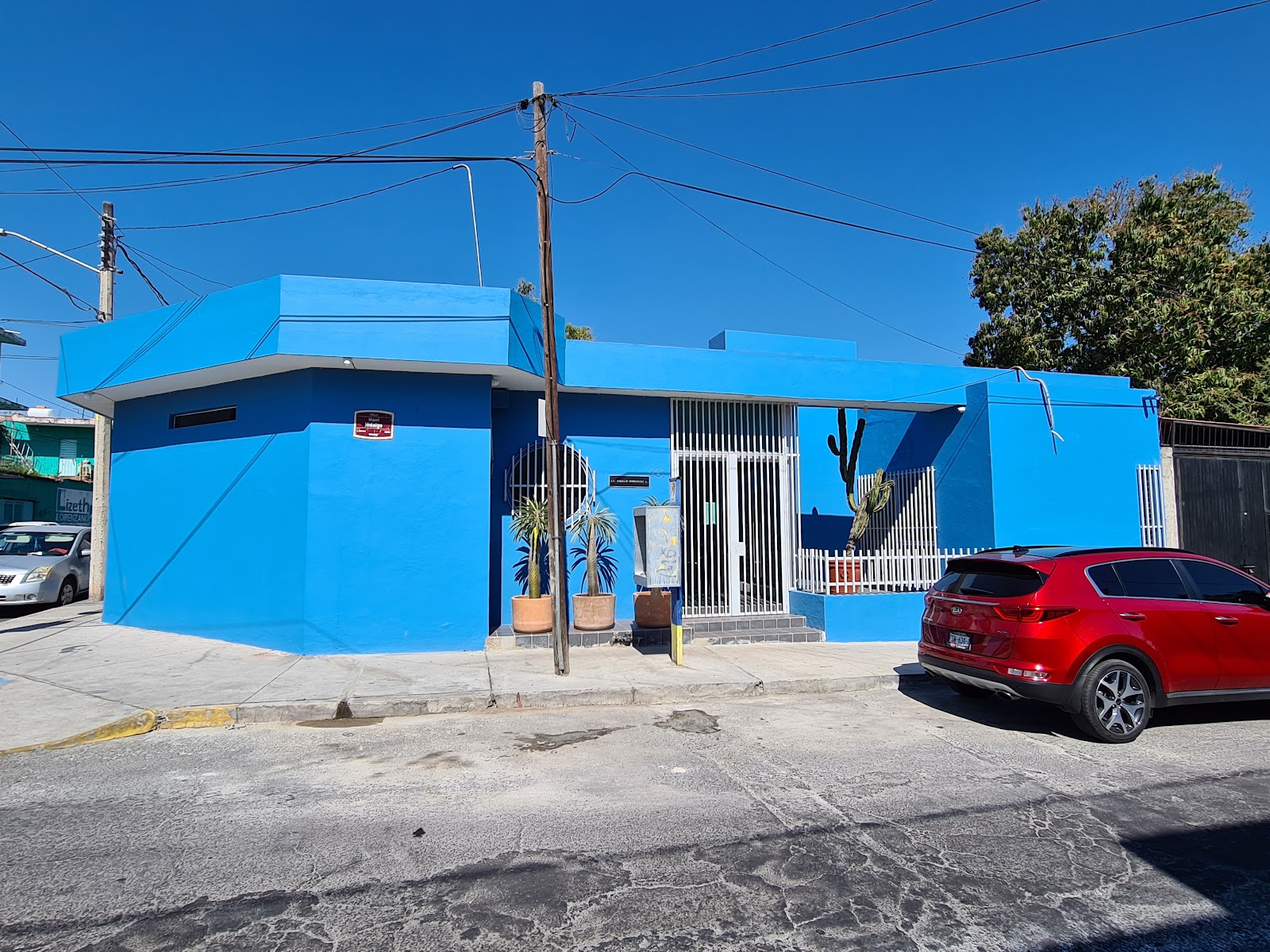leetx-google-photo-70405-1