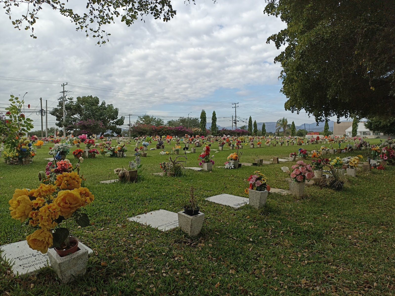 leetx-google-photo-73157-4 leetx-google-photo-73157-4