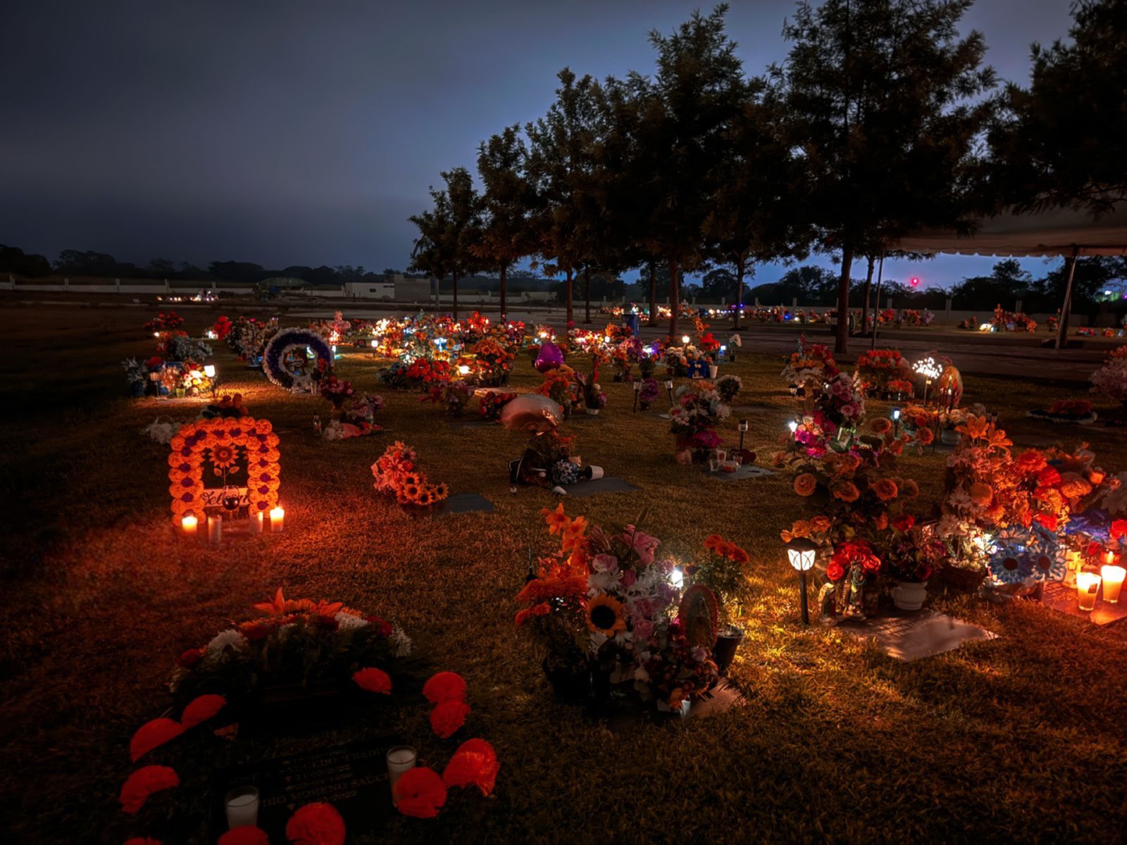 leetx-google-photo-73177-7 leetx-google-photo-73177-7