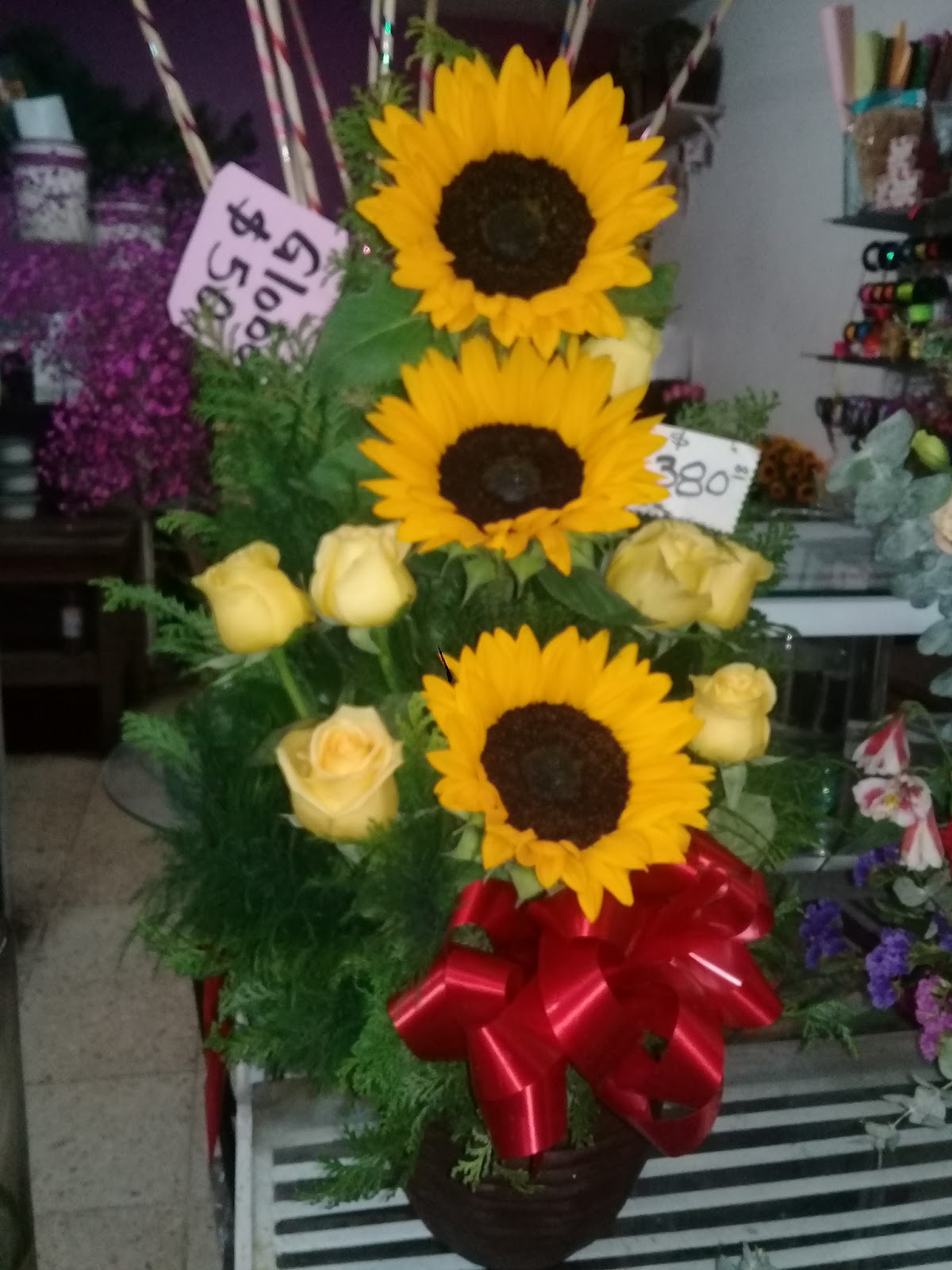 leetx-google-photo-75286-4 leetx-google-photo-75286-4
