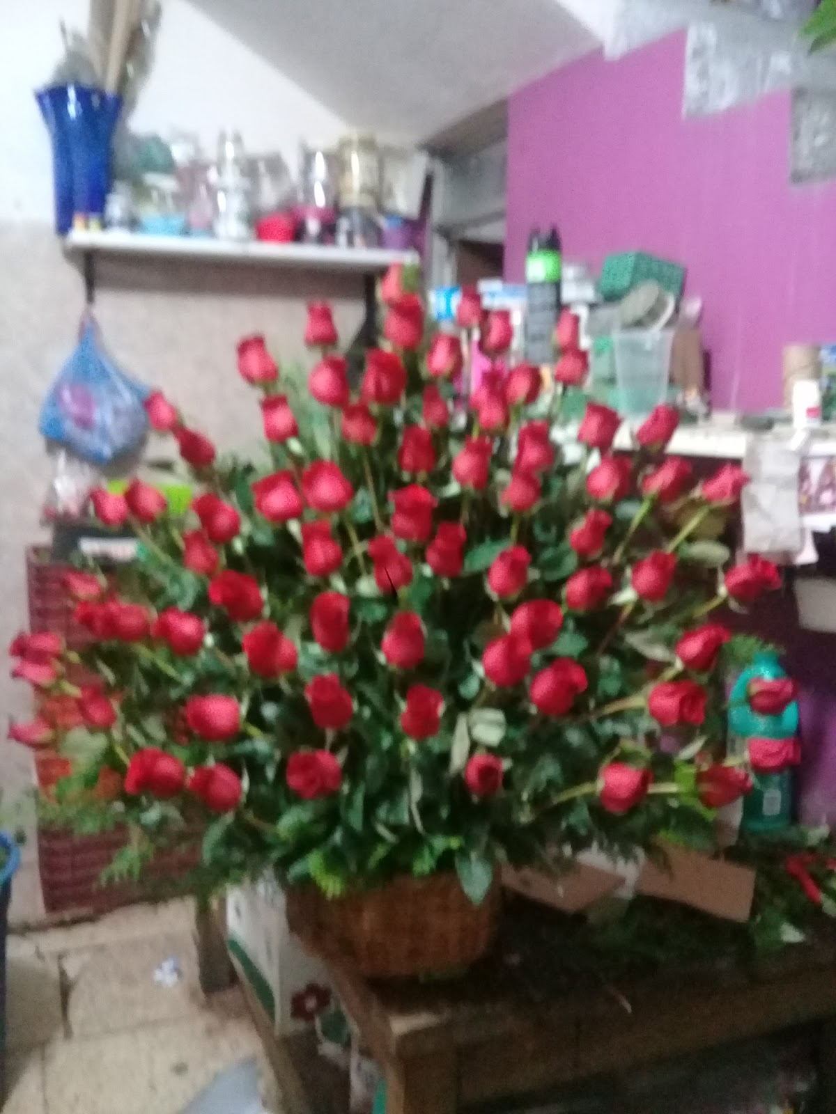 leetx-google-photo-75286-5 leetx-google-photo-75286-5
