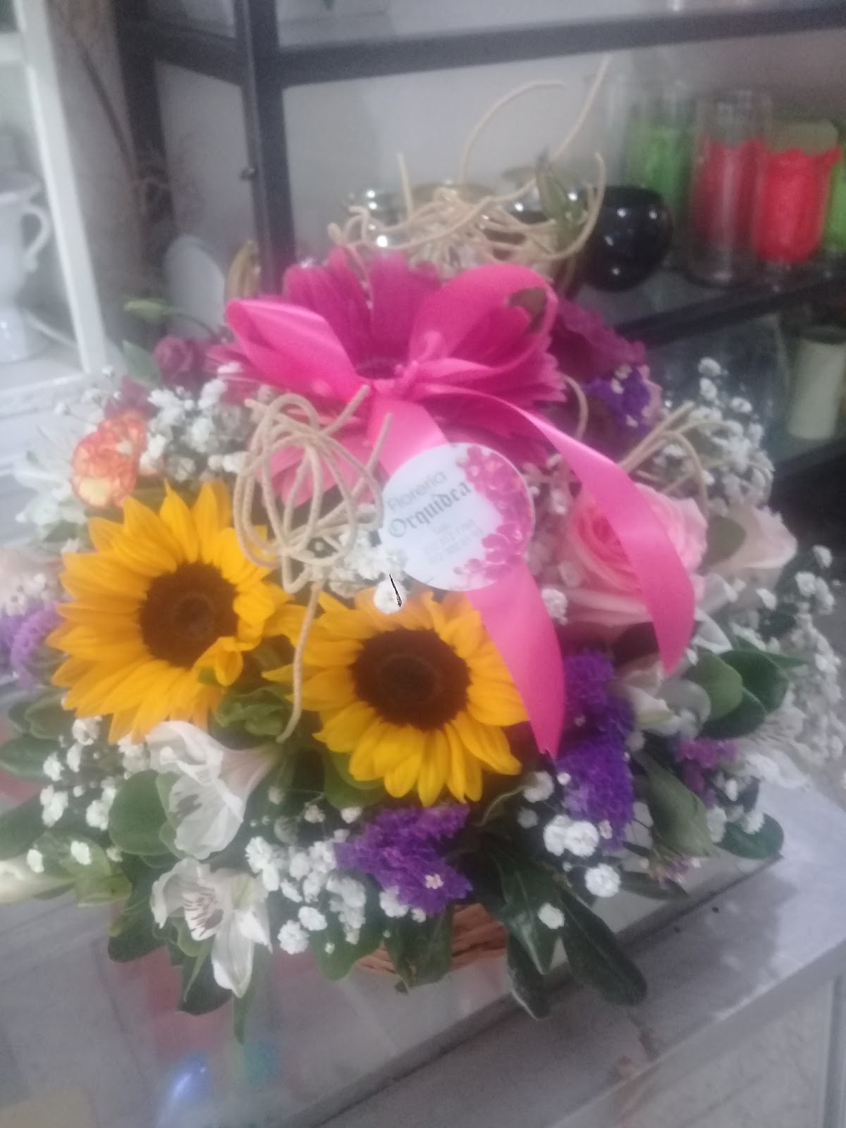 leetx-google-photo-75286-6 leetx-google-photo-75286-6
