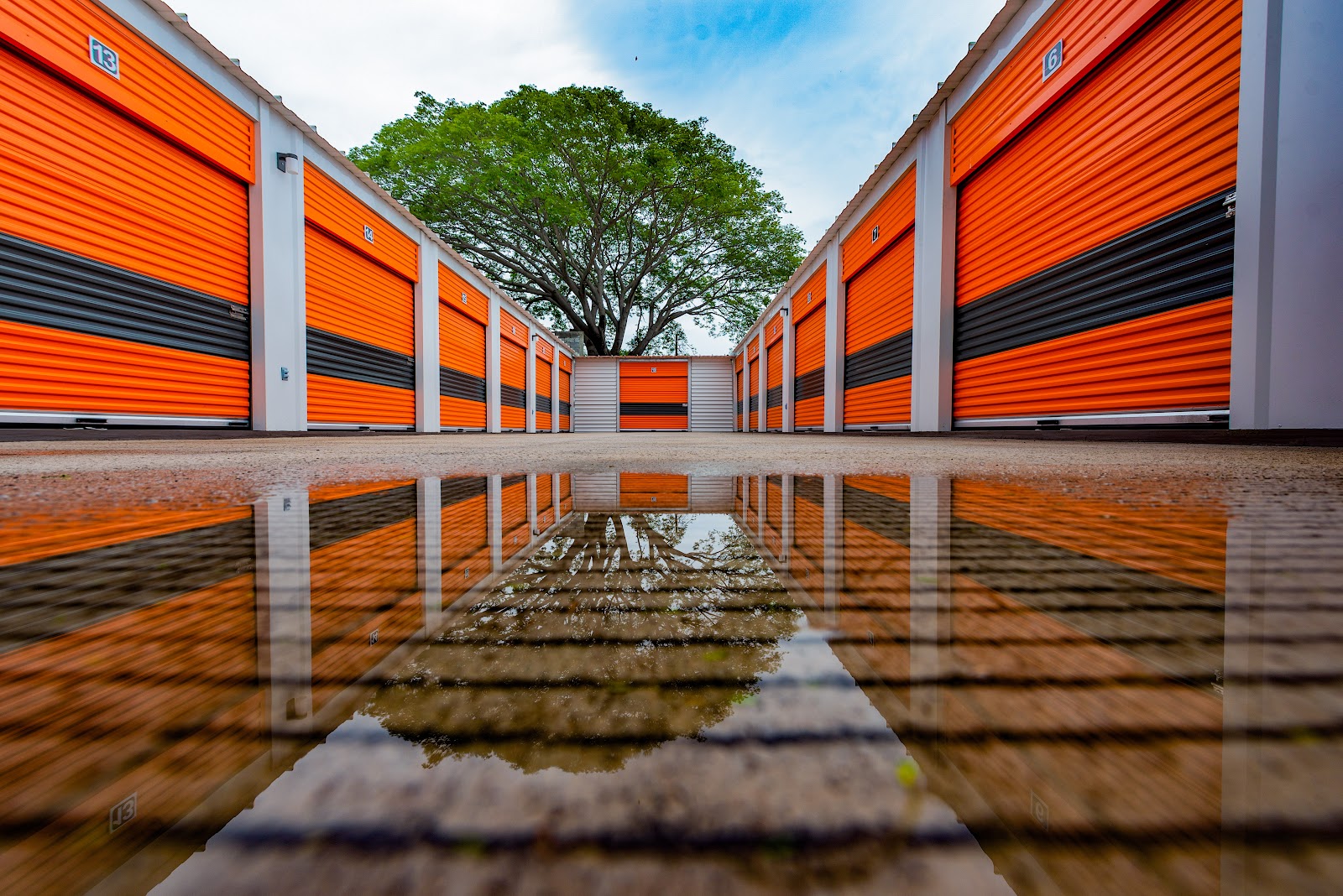 leetx-google-photo-76168-1