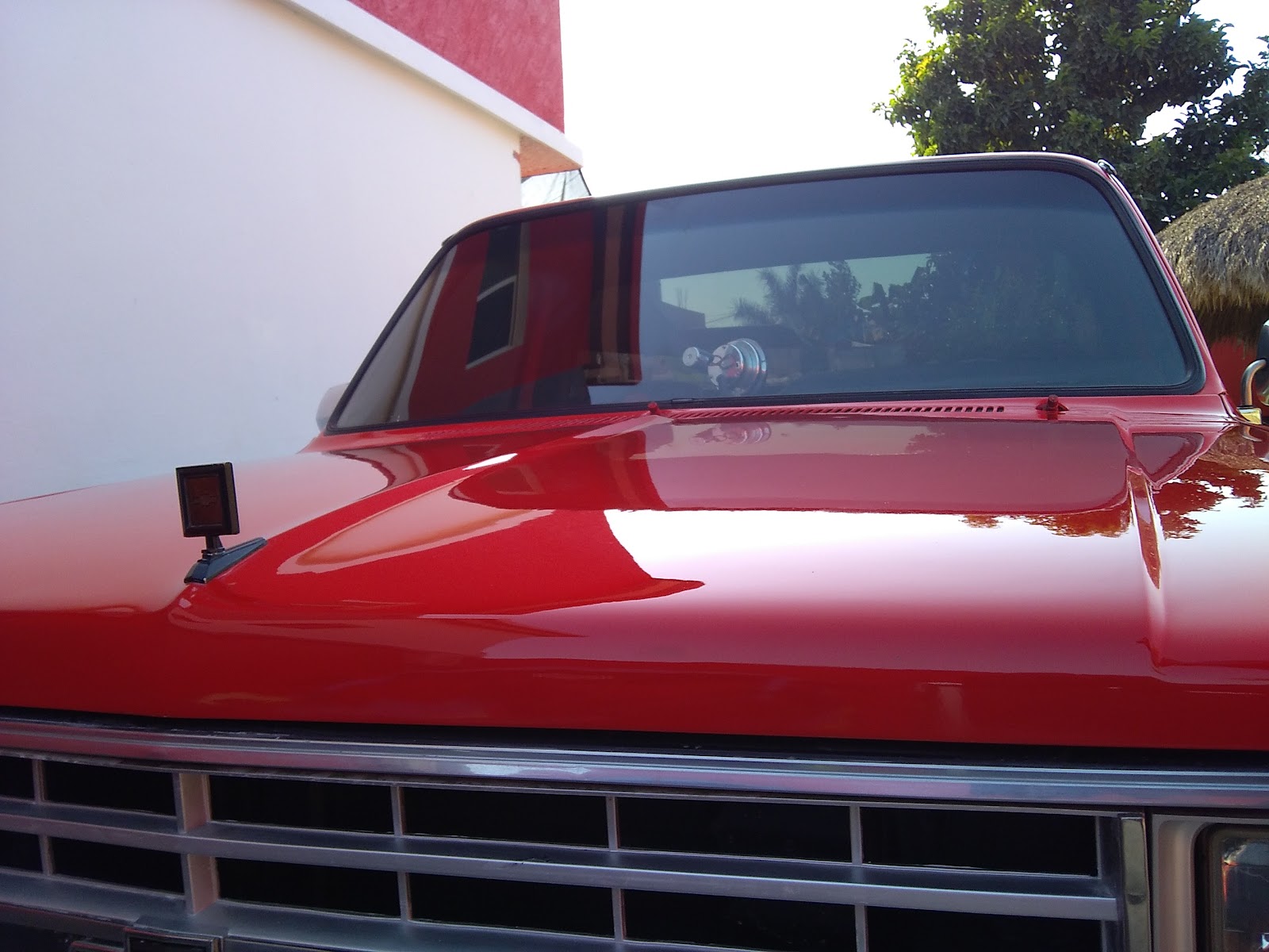 leetx-google-photo-77199-8 leetx-google-photo-77199-8