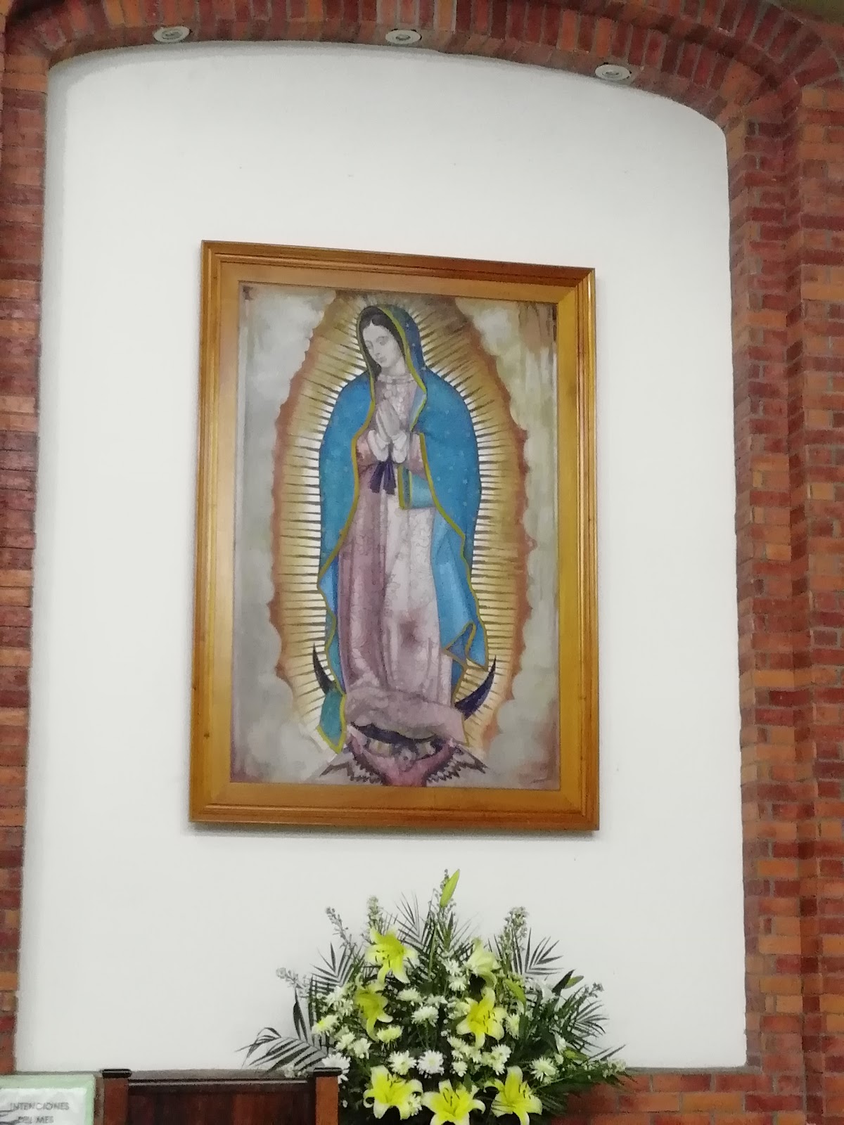 leetx-google-photo-81200-5 leetx-google-photo-81200-5