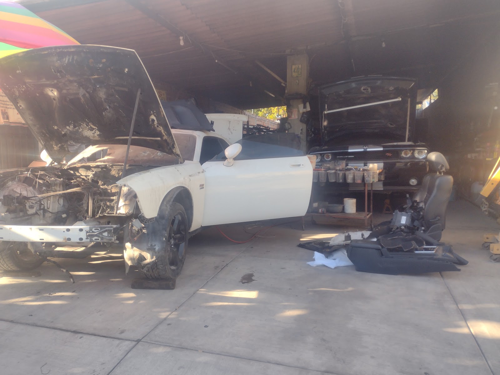 leetx-google-photo-83545-3 leetx-google-photo-83545-3
