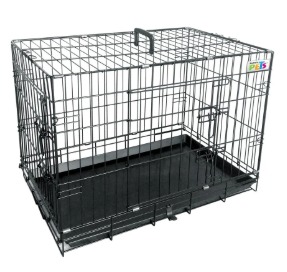 leetx-google-photo-84065-1